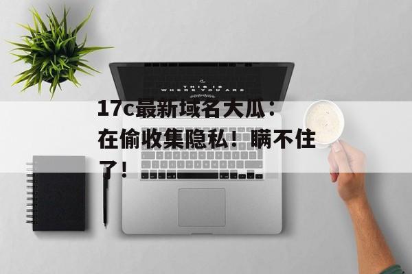 17c最新域名大瓜：在偷收集隐私！瞒不住了！